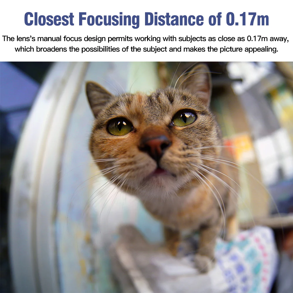 M 11mm F2.8 Fisheye - Image 8